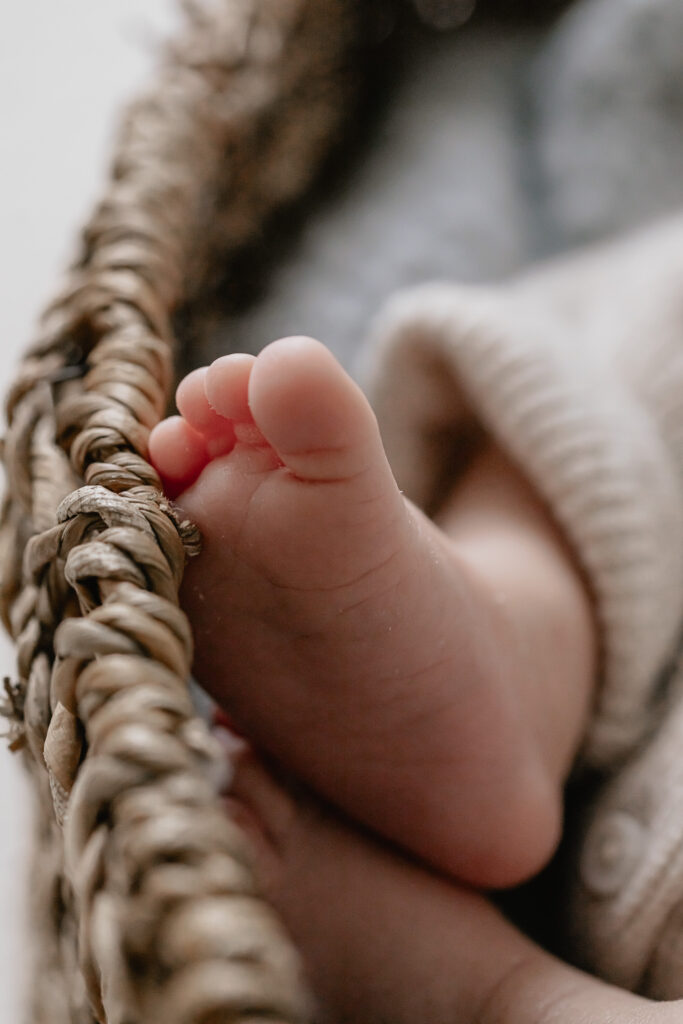 Newbornfotograf